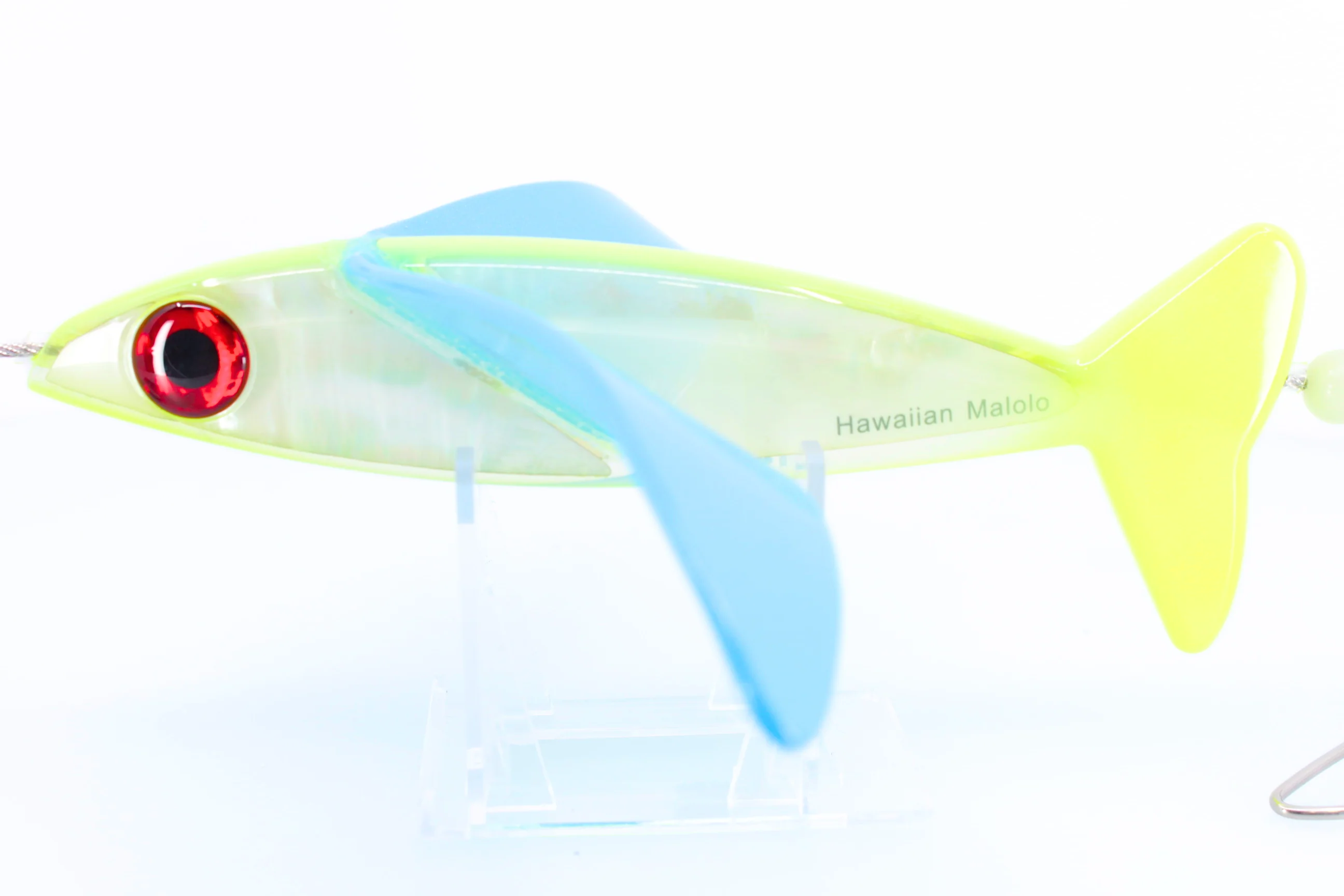 Hawaiian Malolo Bird Teaser Feathersword - Image 4